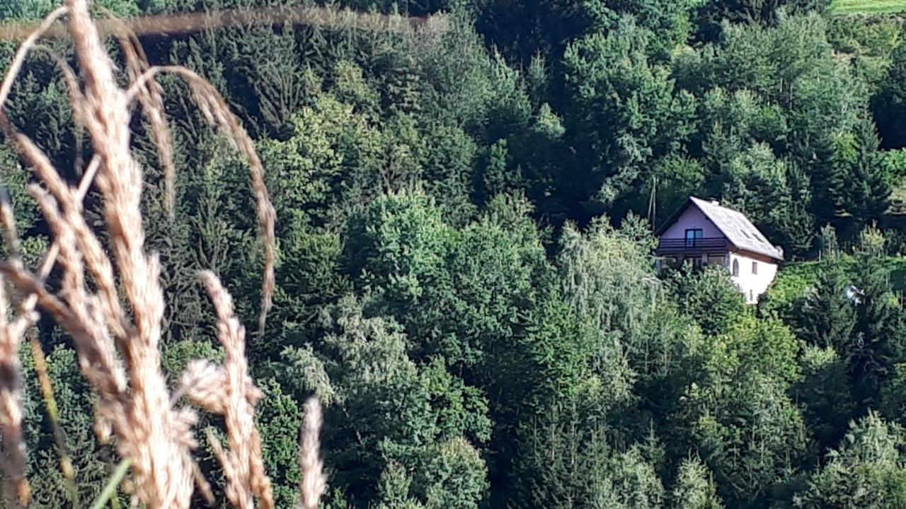 Country House & Spa Mislinja Esterno foto