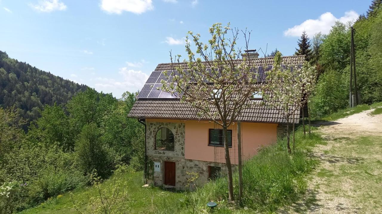 Country House & Spa Mislinja Esterno foto